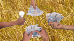 Nord : De l’argent frais distribué aux agriculteurs